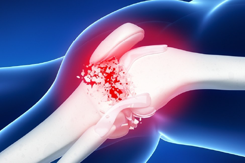 Institute for Tissue Engineering and Regenerative Medicine